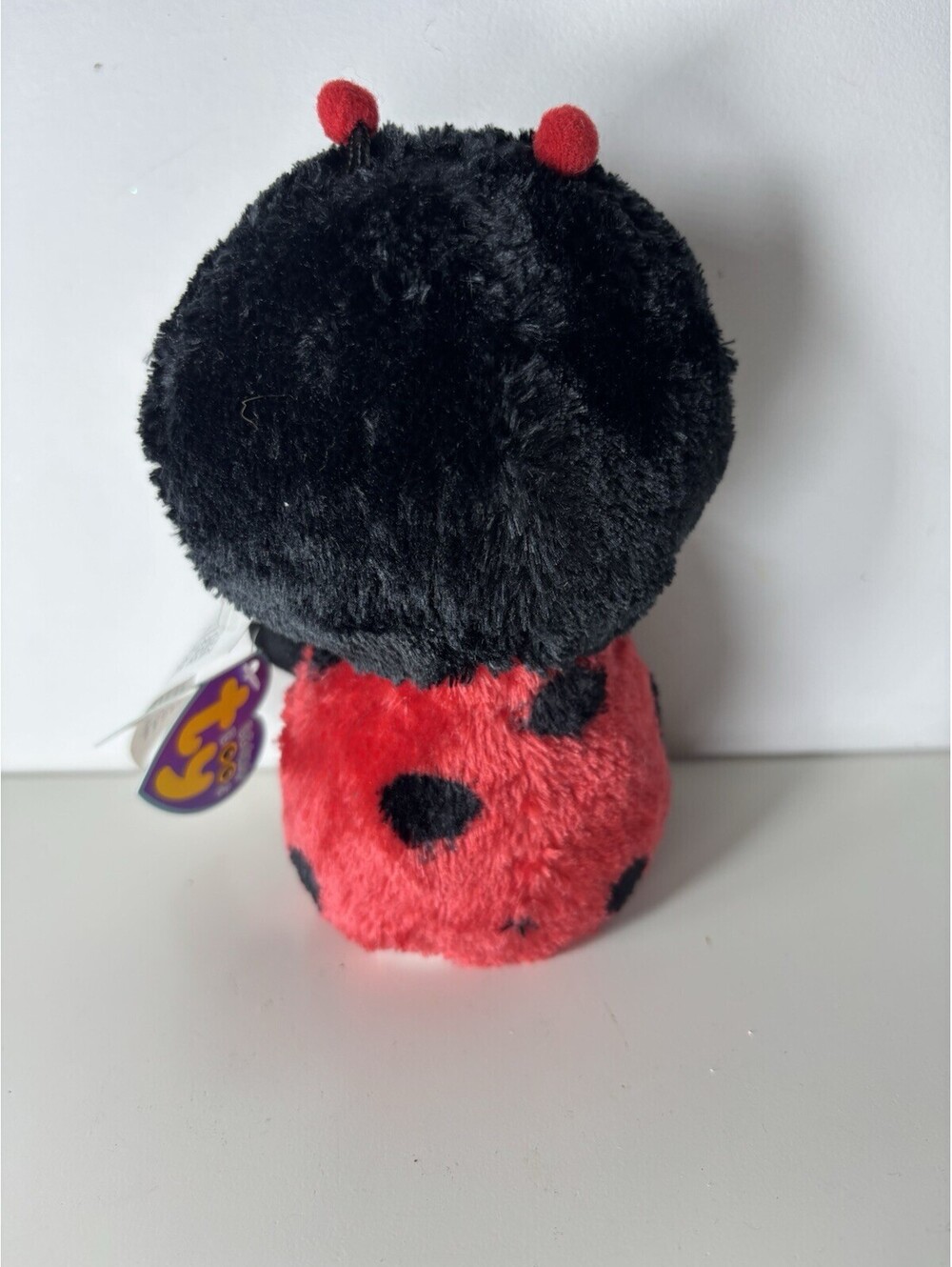 Ty Beanie Boo BUGSY The Ladybug (6 inch) Solid Eyes- NWT- - Picture 3 of 7
